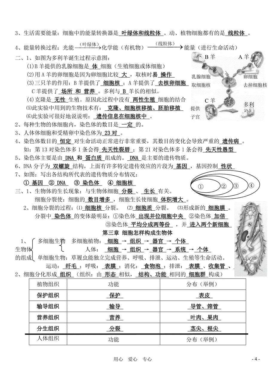 七年级生物上册_复习学案_人教新课标版_第4页