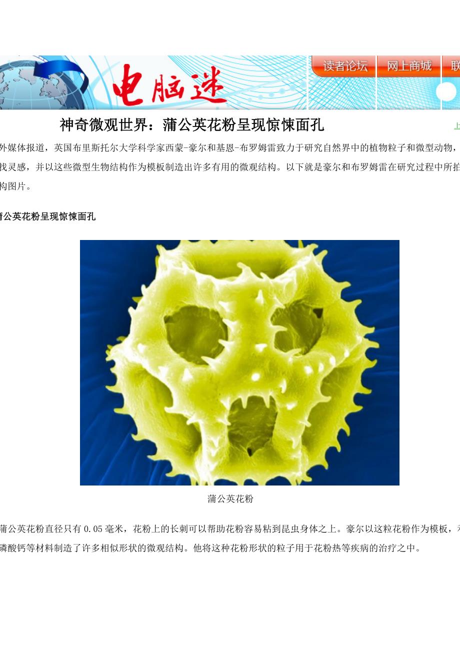 神奇微观世界：蒲公英花粉呈现惊悚面孔_第1页