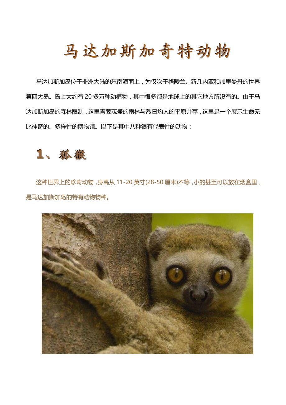 马达加斯加奇特动植物_第1页