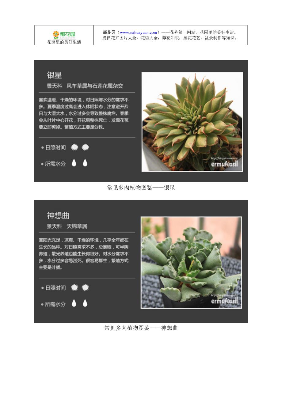 常见多肉植物图鉴——景天科其他属种_第2页