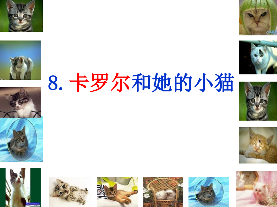 人教版二年级语文下册卡罗尔和她的小猫.ppt_第1页