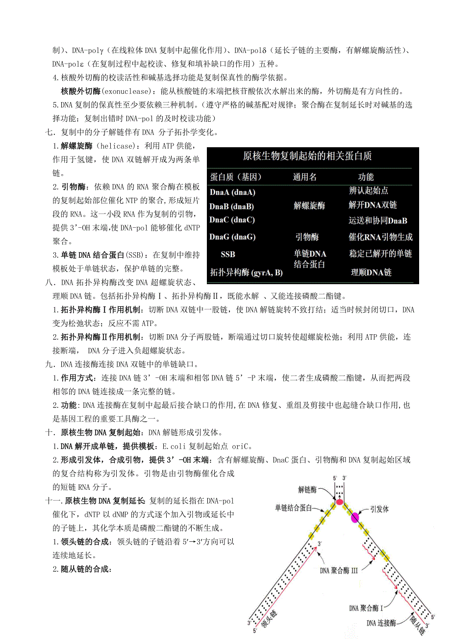 医学生物化学小结2_第2页