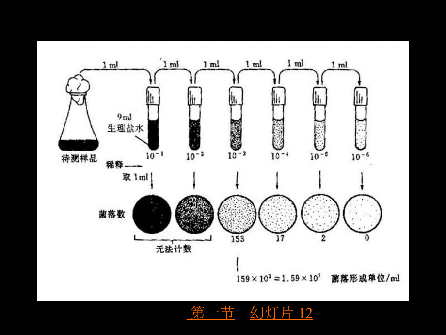 第7章微生物的生长_第4页