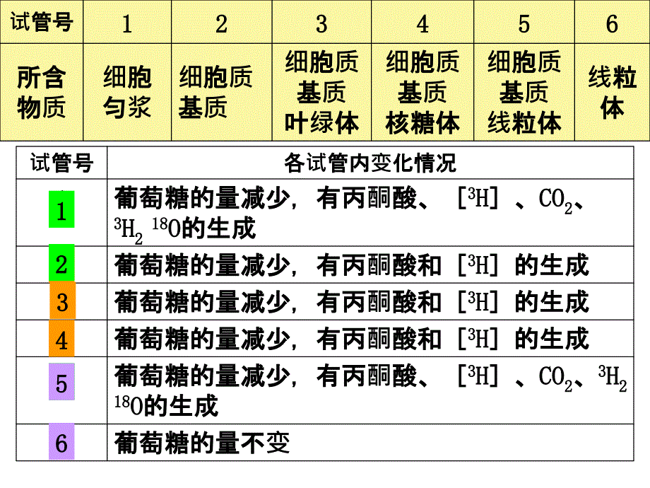 细胞呼吸过程原理及应用_第2页