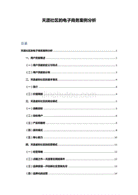 天涯社区电子商务案例分析文案