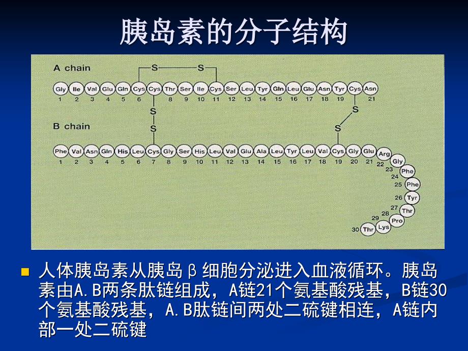 糖尿病的胰岛素治疗_第2页