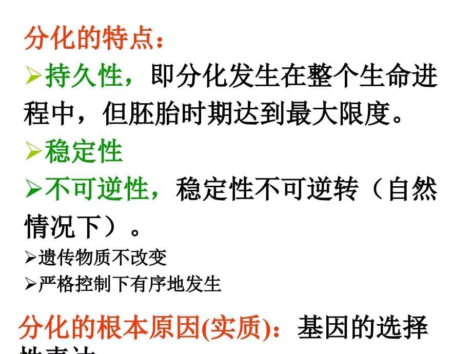 第二三节细胞的分化、癌变和衰老、凋亡_第5页