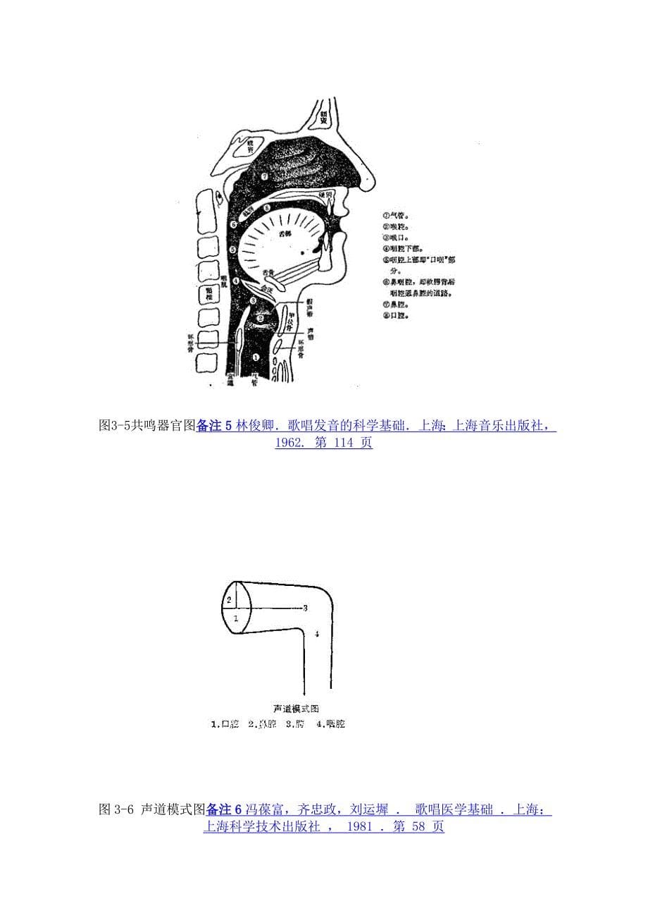 第三讲 歌唱器官的构造与功能_第5页