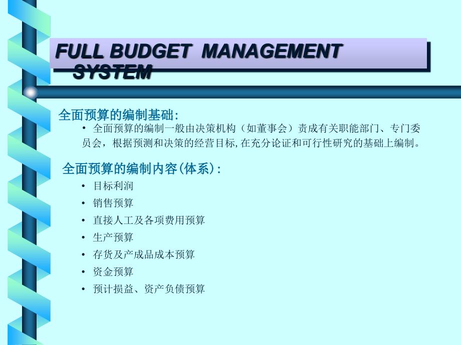 全面预算管理系统_第3页