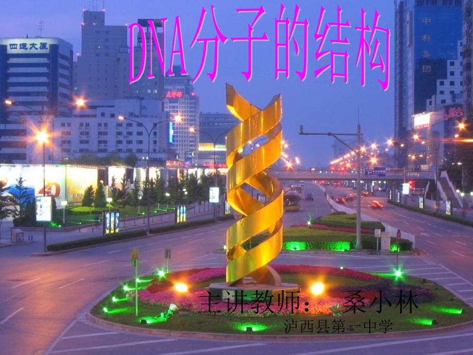 3.2DNA分子的结构课件(新人教版必修2)_第3页