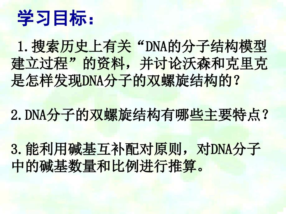 3.2DNA分子的结构课件(新人教版必修2)_第4页