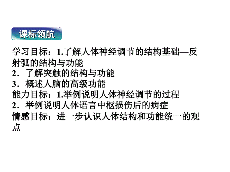 高二生物：2.2.1 人体神经调节的结构基础课件 (苏教版必修3 )_第3页