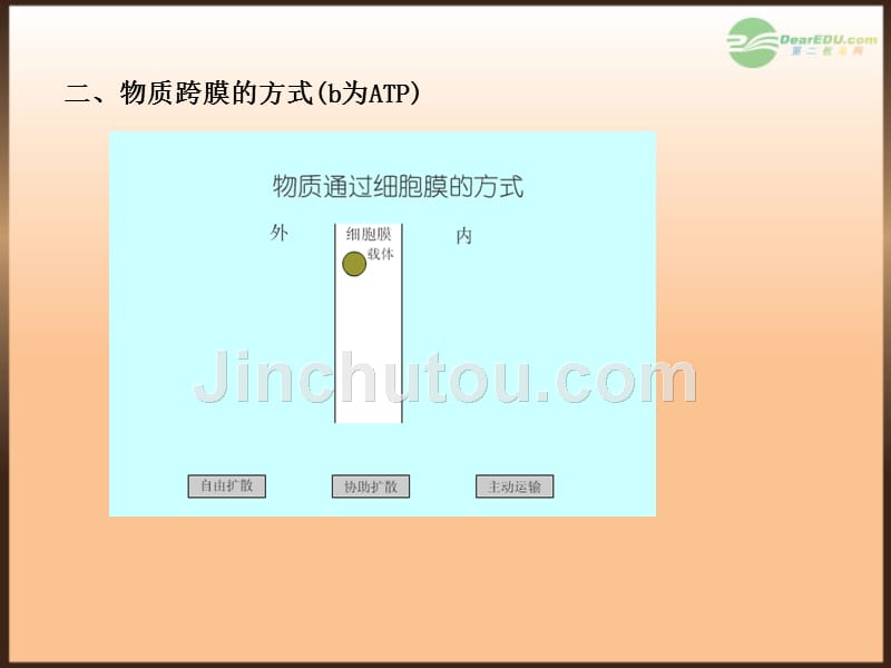 【全程复习方略】（江苏专用）2013版高中生物 4.2、3生物膜的流动镶嵌模型 物质跨膜运输的方式配套课件 新人教版必修1_第5页