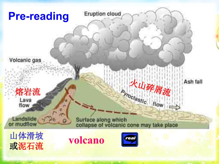 B6, U 5 Reading (人教版高中英语选修六第五单元阅读)_第2页