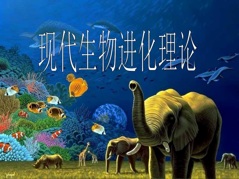 高中生物核心概念高考复习课件—现代生物进化理论_第1页