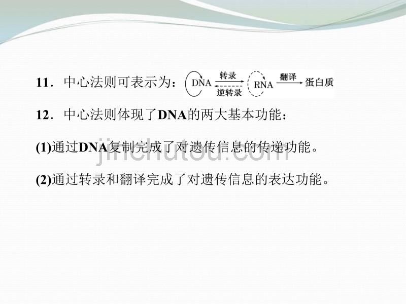 【创新】2013高考生物二轮复习 第一部分 专题7 遗传的分子基础配套课件 新人教版_第5页