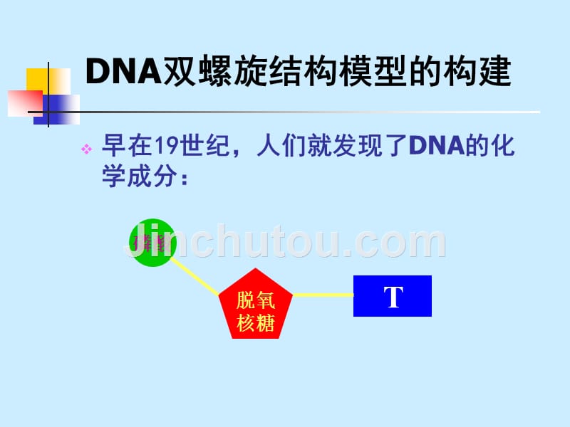 人教版教学课件2&#183;3&#183;2DNA分子的结构1_第3页