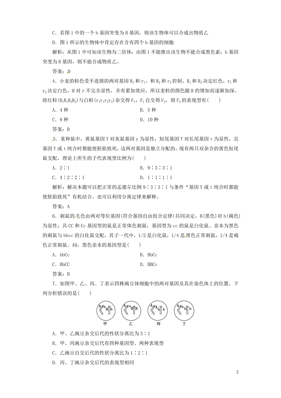 【金版新学案】2013高考生物总复习 2-1-2孟德尔的豌豆杂交实验(二)配套训练 新人教版必修2_第2页