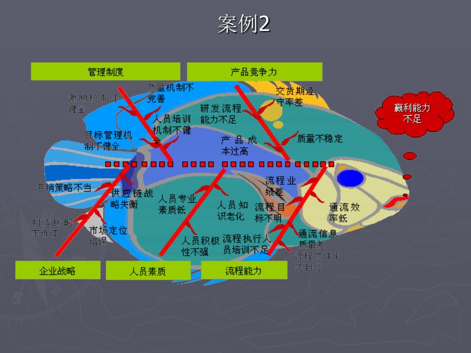 鱼骨图分析方法案例_第4页