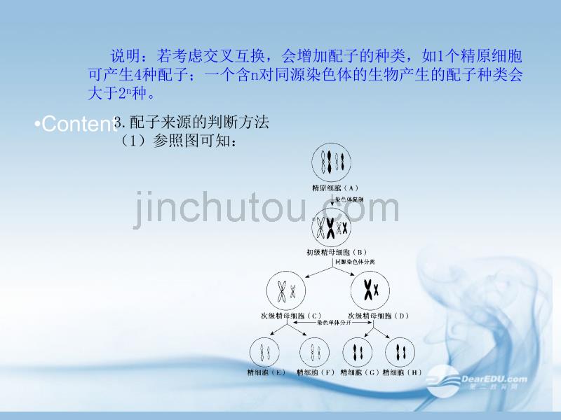 2014高中生物《 2.1.2 受精作用》课件 新人教版必修2_第5页