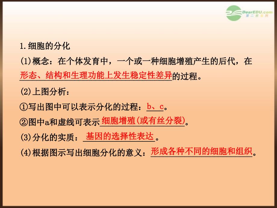 【全程复习方略】（江苏专用）2013版高中生物 6.2～4细胞的分化、衰老、凋亡和癌变配套课件 新人教版必修1_第4页