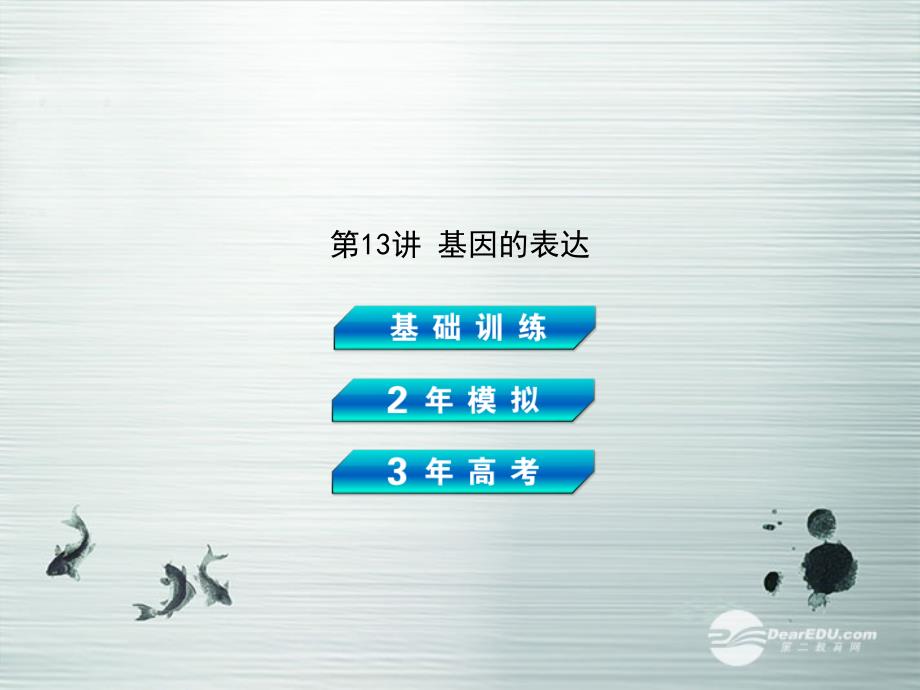 【3年高考2年模拟】2014高考生物总复习（基础训练+2年模拟+3年高考）第13讲 基因的表达课件 新人教版_第2页