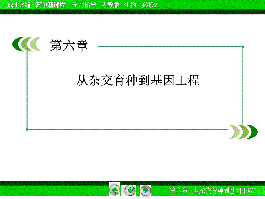 2014《成才之路》高一生物(人教版)必修2课件：第六章 从杂交育种到基因工程_第2页