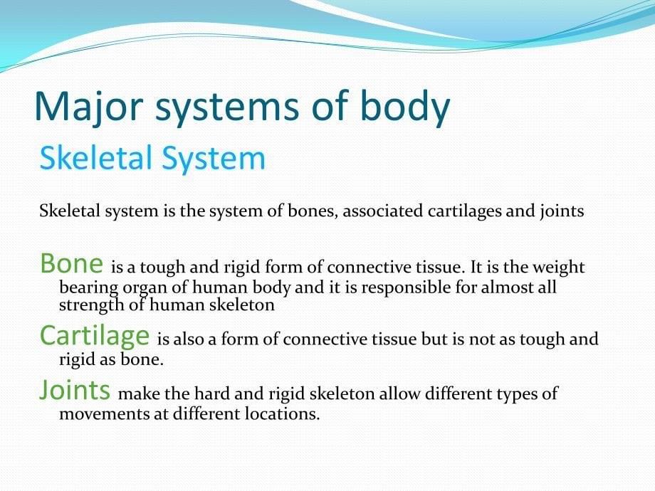 A Glance at Human Body (easy version)  人体结构一瞥(儿童版)_第5页