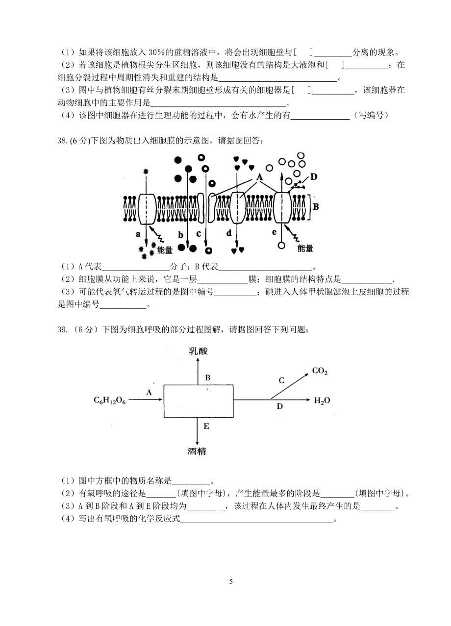 高一生物_期末试卷_新人教版必修1_第5页