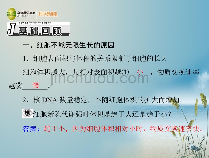 【南方新课堂】2014届高考生物总复习 第6章 第1节 细胞的增殖课件 新人教版必修1 _第4页