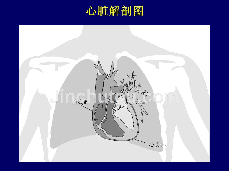 起搏器行业人员预习资料_第3页