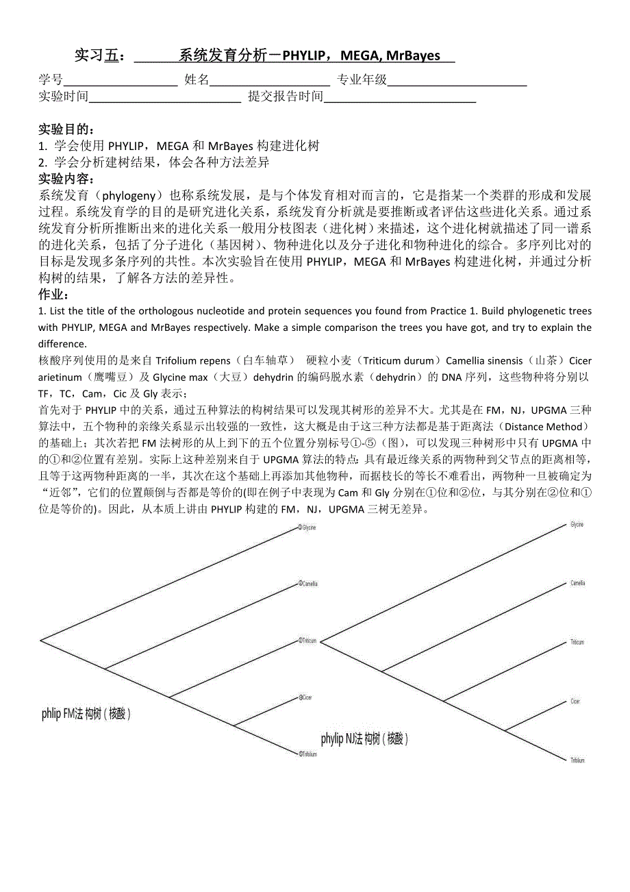 实习五：系统发育分析-PHYLIPMEGAMrBayes_第1页