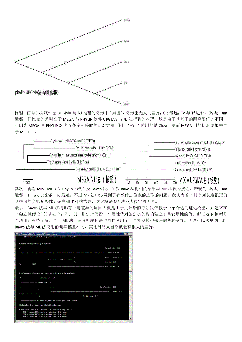 实习五：系统发育分析-PHYLIPMEGAMrBayes_第2页