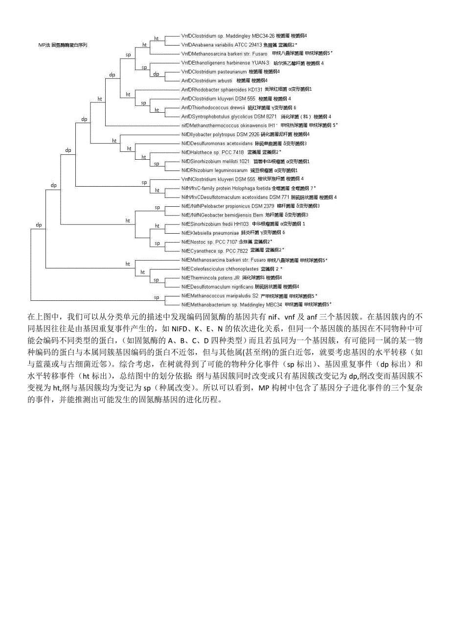 实习五：系统发育分析-PHYLIPMEGAMrBayes_第5页