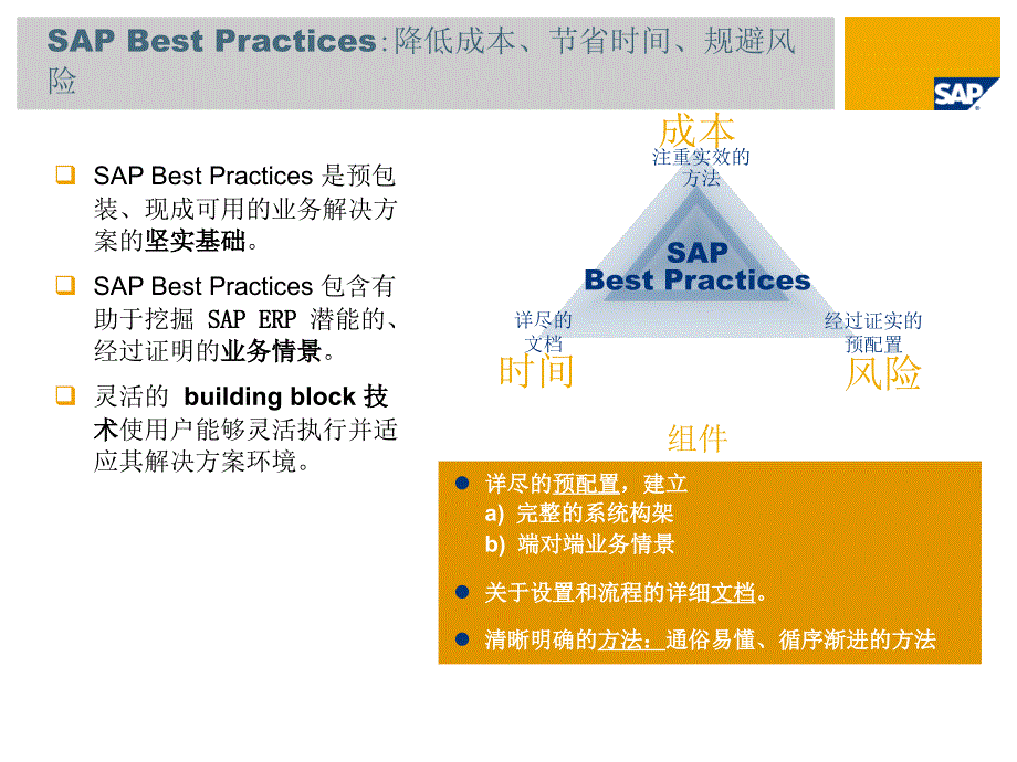 SAP最佳实践介绍(中文版本)_第3页