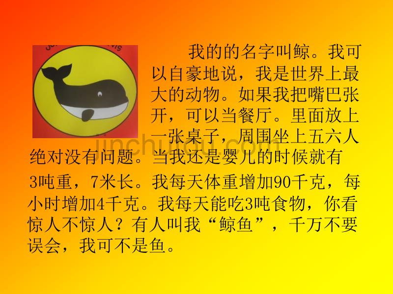 给动物设计名片.不得抄袭只能学习_第4页