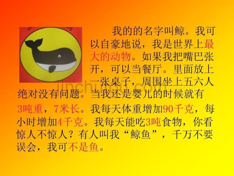 给动物设计名片.不得抄袭只能学习_第5页