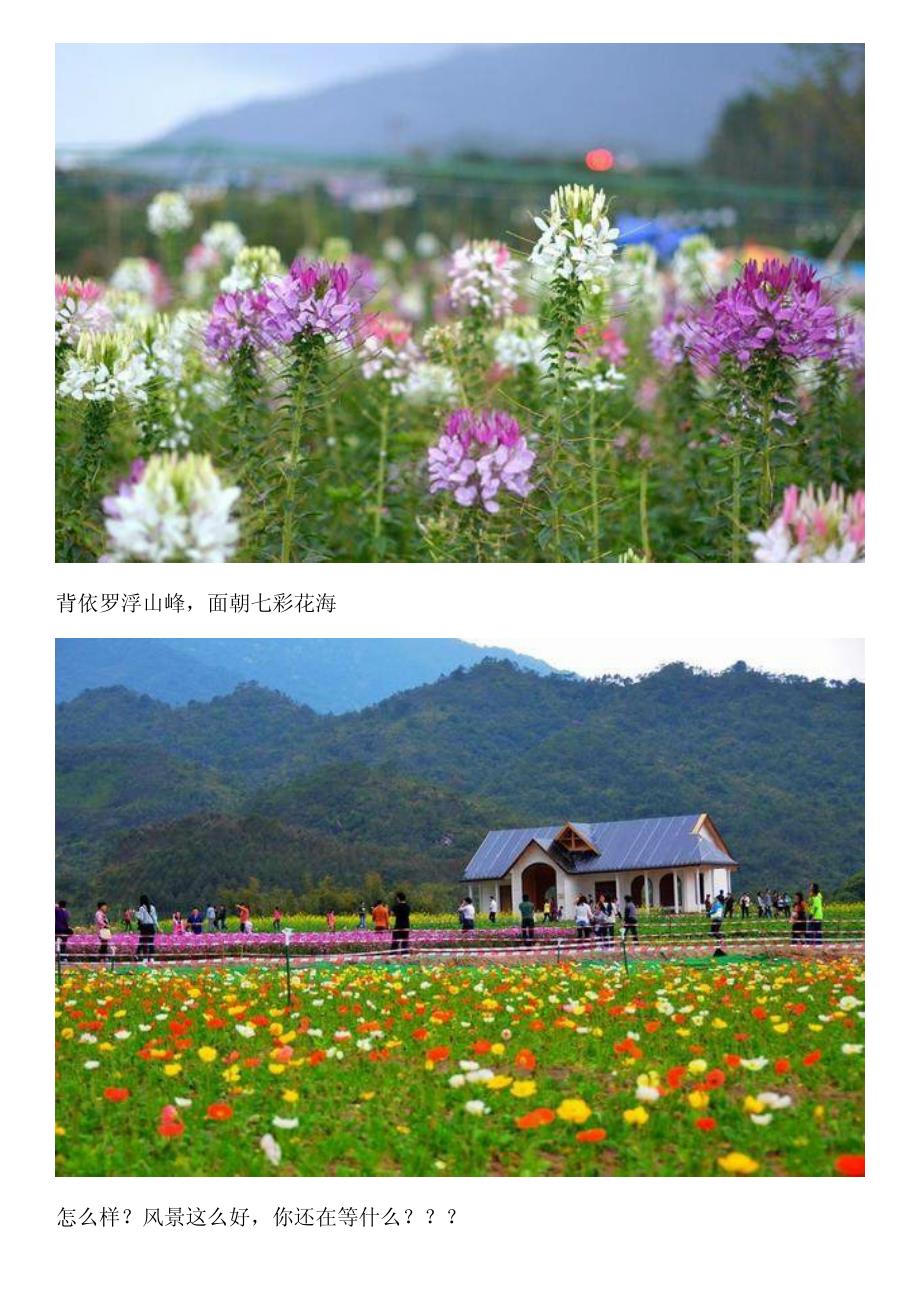 春游赏花：那就去惠州罗浮山——花开主题公园吧_第2页