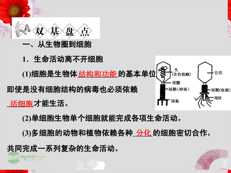 【金版新学案】2013高考生物总复习 1-1-1、2从生物圈到细胞 细胞的多样性和统一性配套课件 新人教版必修1_第4页