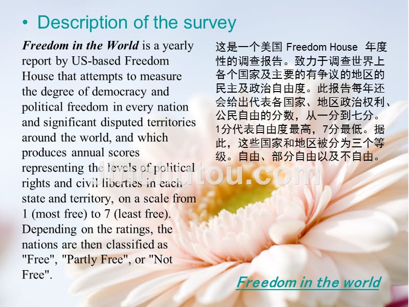 Freedom in the world国际商务第五版英文 课后作业_第2页