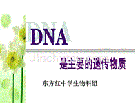 DNA是主要的遗传物质(新课标版)