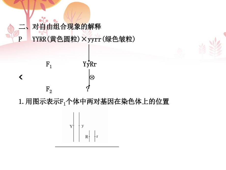 【全程复习方略】2013版高中生物 2.2.2基因的自由组合规律配套课件 中图版必修2_第4页