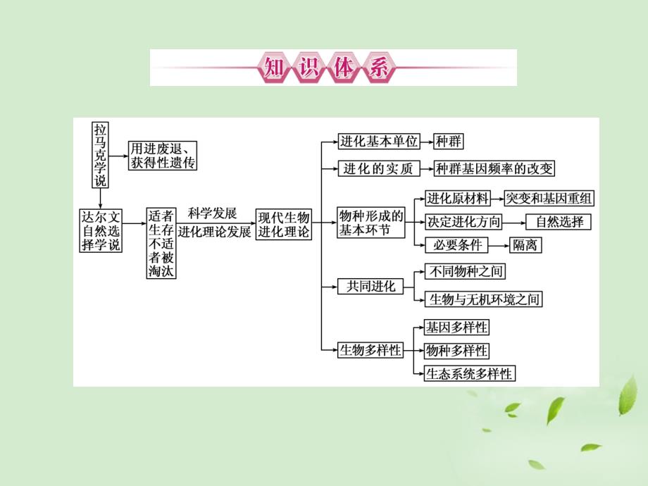 【优化指导】高中生物 第七章 本章回顾总结7同步备课课件 新人教版必修2_第2页