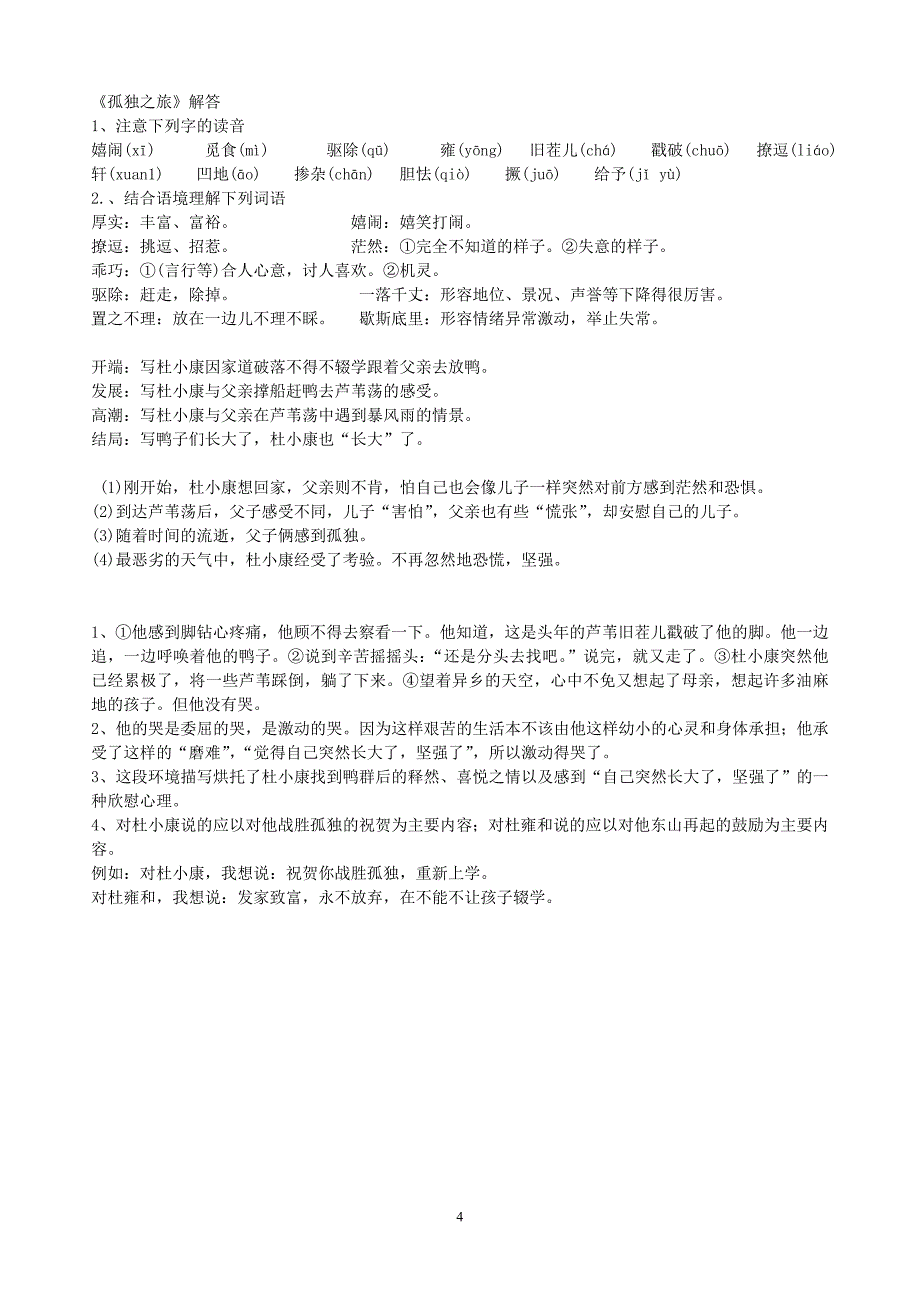 孤独之旅学案及解答_第4页