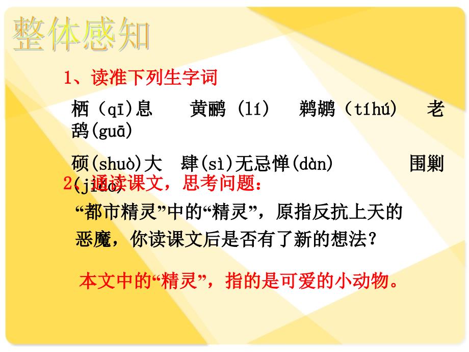 苏教版初中语文八年级上册8上《都市精灵》 课件 ppt_第4页