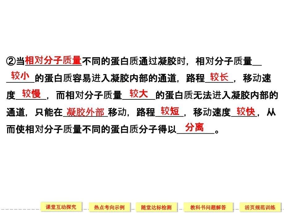 2012高二生物同步课件：5-3   血红蛋白的提取和分离(人教版选修I 44张)_第5页