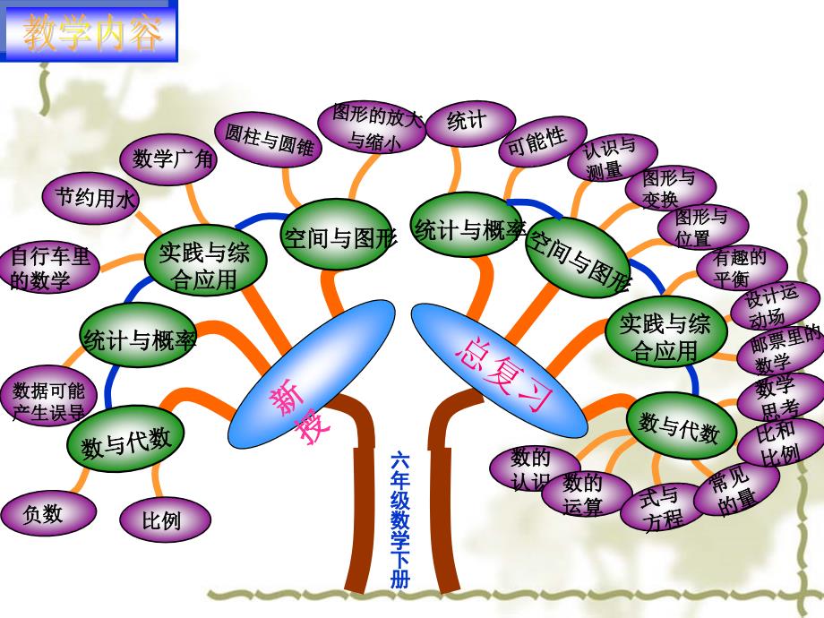 说教材知识树6数下陈金盛_第3页