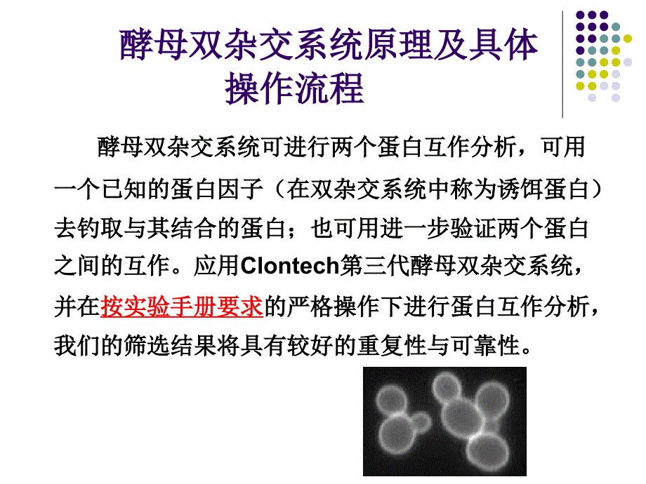 酵母双杂交原理与实验具体流程_第1页