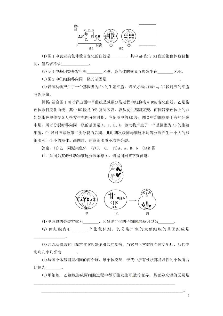 【金版新学案】2013高考生物总复习 2-2-1减数分裂和受精作用配套训练 新人教版必修2_第5页