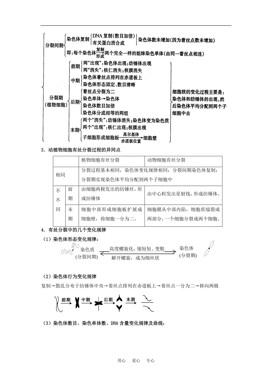 5.1《细胞增殖》素材03 (苏教版必修1)_第3页